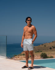 Brandon Nylon Swimshort- Sky