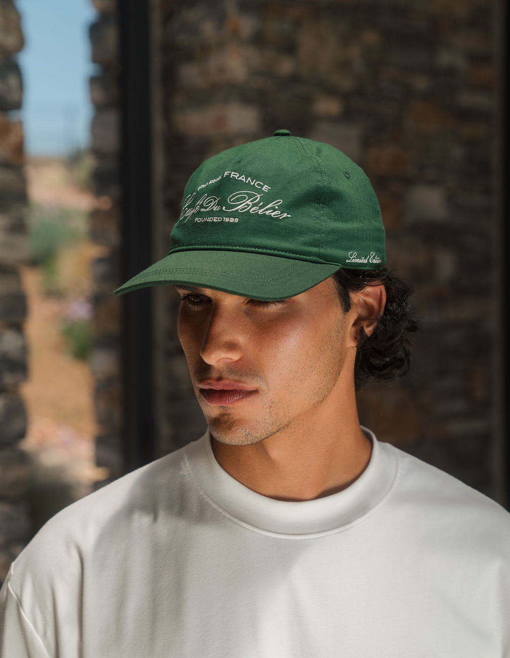 AR509545.jpg